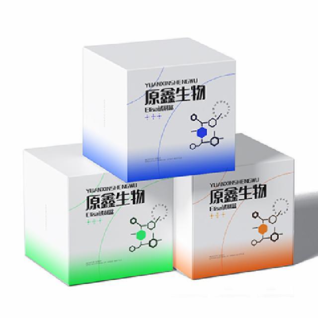 NADH氧化酶(NOX)測試盒
